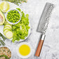 7" Nakiri Knife - Hand-Forged Hammered Japanese Vegetable Knife with Mirror Blade & Olivewood Handle